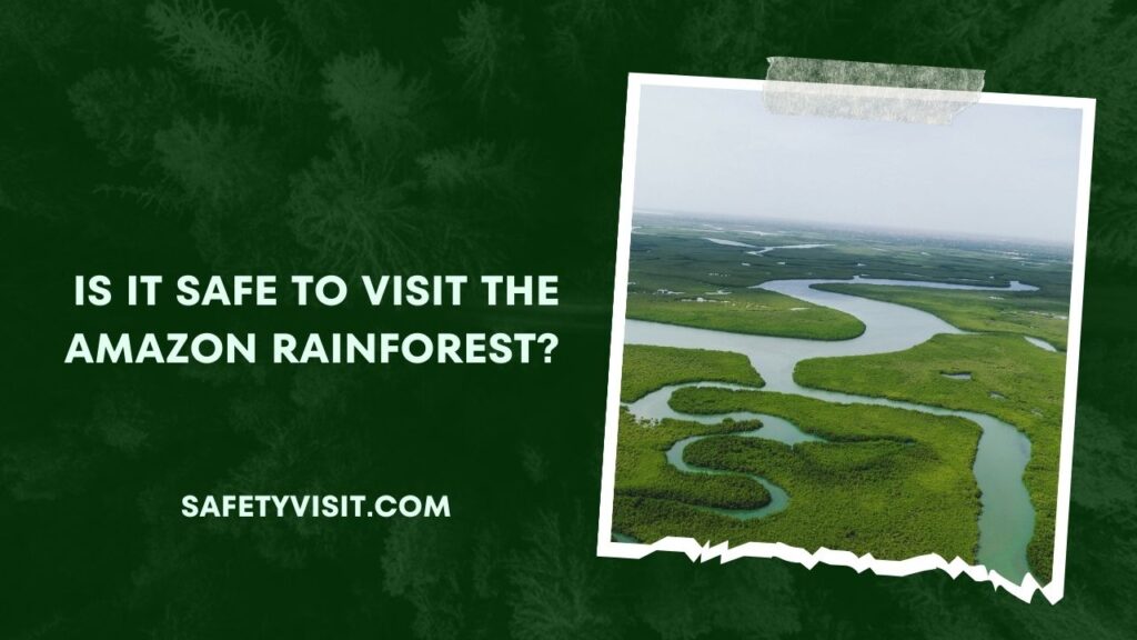 Is It Safe To Visit The Amazon Rainforest