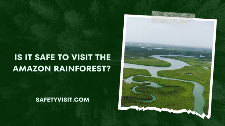 Is It Safe To Visit The Amazon Rainforest